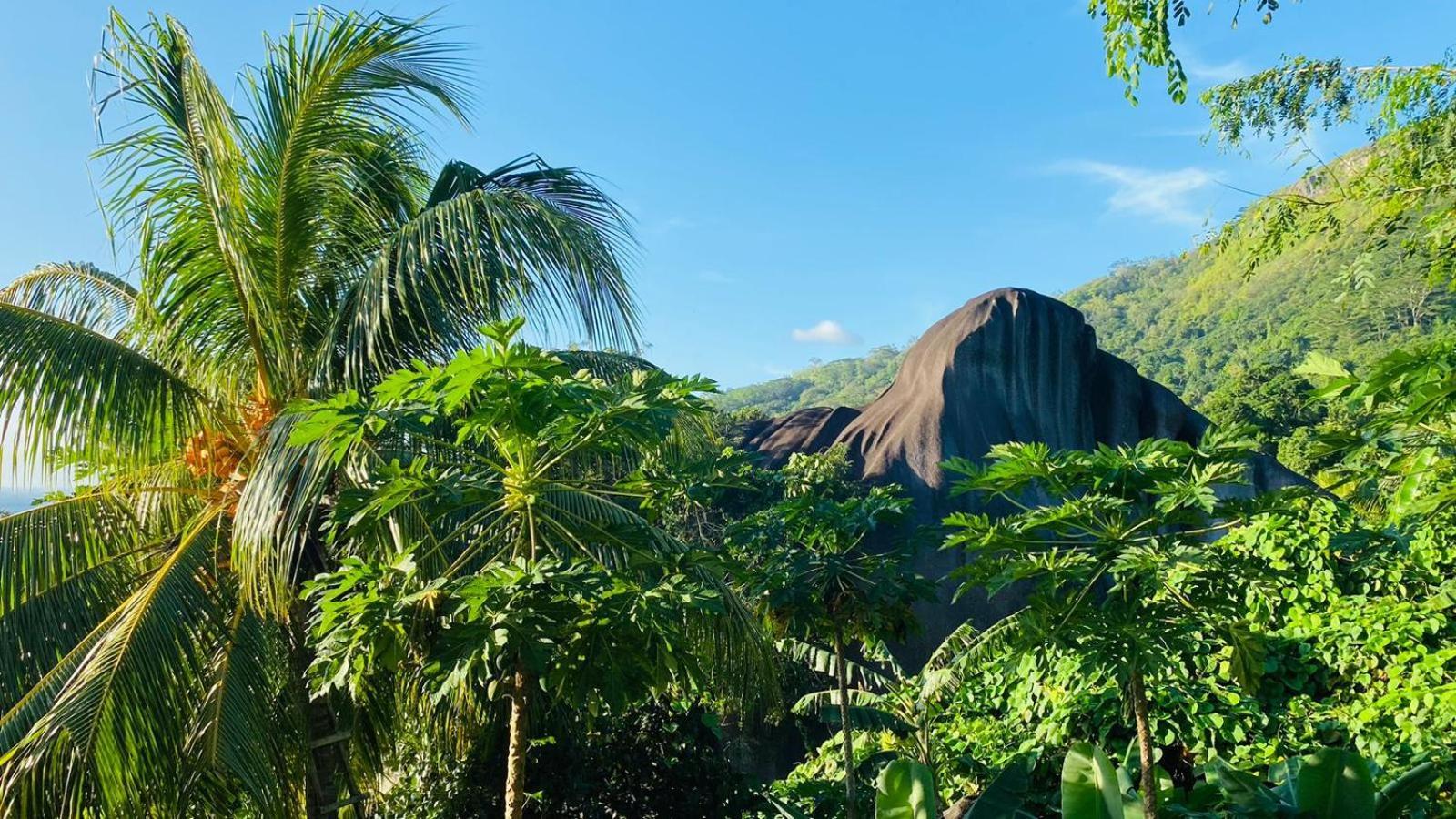 Josies Cottage Vịnh Beau Vallon Ngoại thất bức ảnh