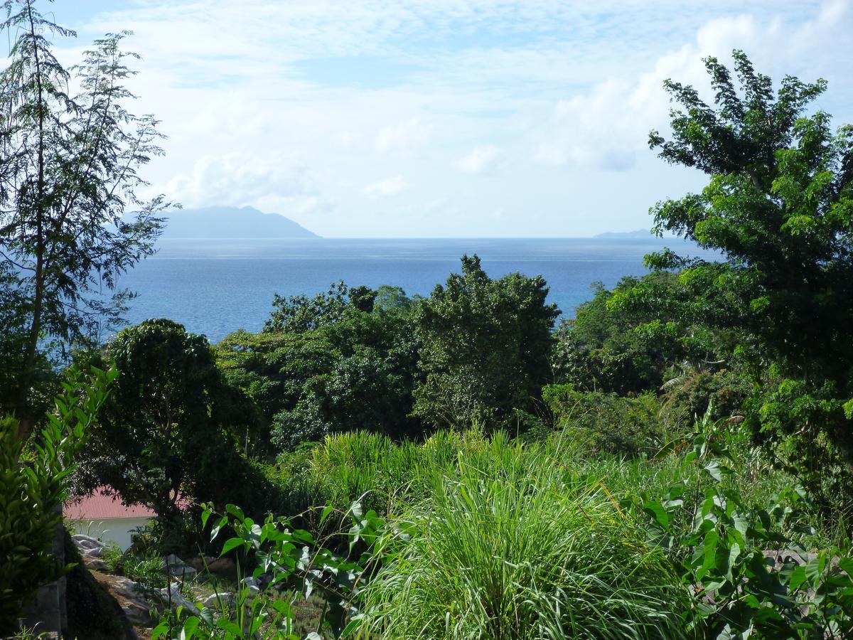 Josies Cottage Vịnh Beau Vallon Ngoại thất bức ảnh
